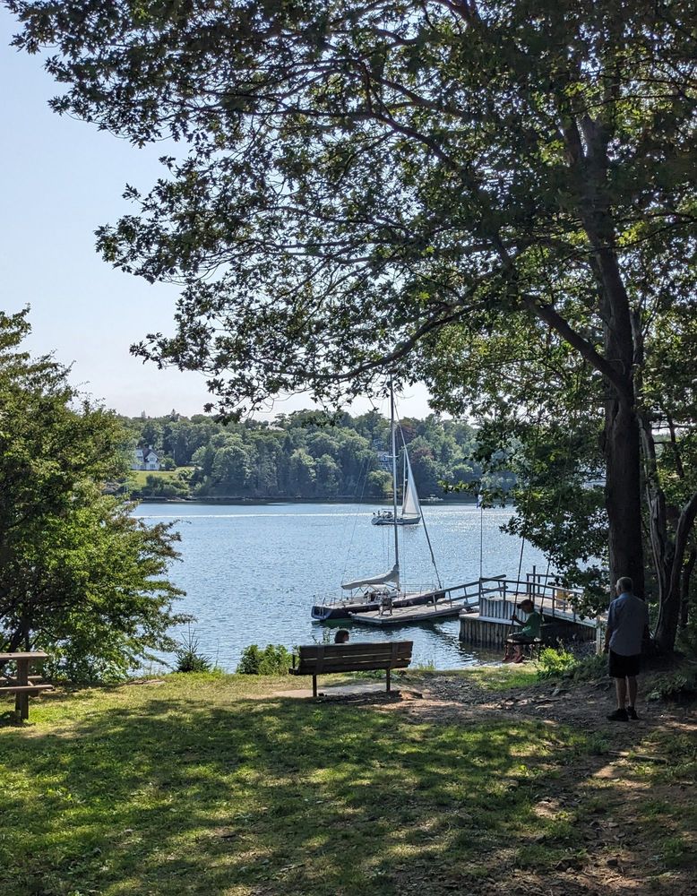 The entire Northwest arm water frontage of Marlborough Woods park, maybe 75 ft wide?