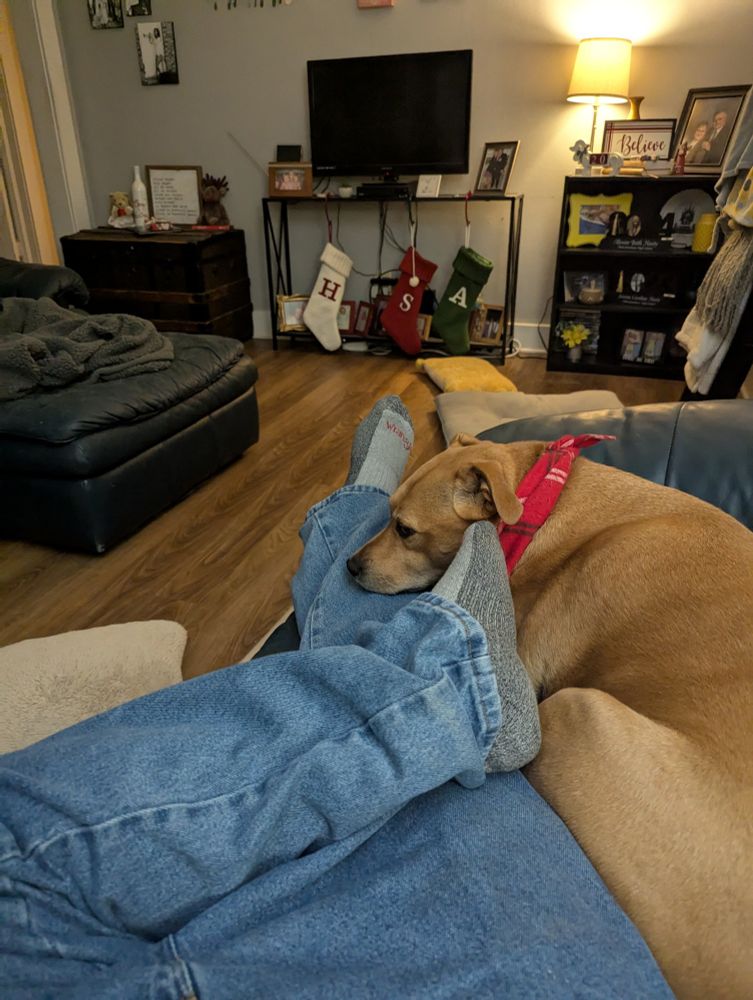 A man wearing blue jeans and grey socks is laying on a couch. A medium sized mixed breed dog with short tan fur is resting his head on the man's leg. 