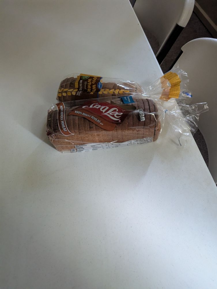 Two forlorn loaves of bread sitting on a white plastic folding table.