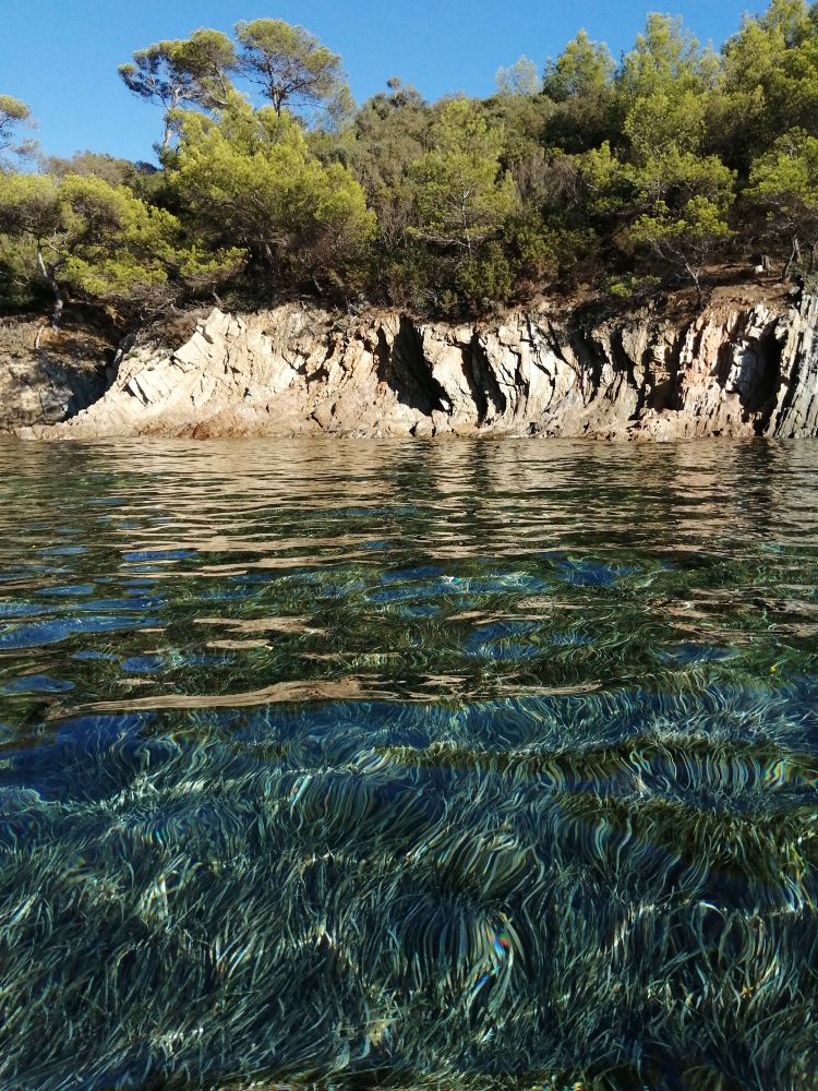 A view of a rocky coast. The foreground is shallow seawater, with dark green seagrass visible at the bottom 