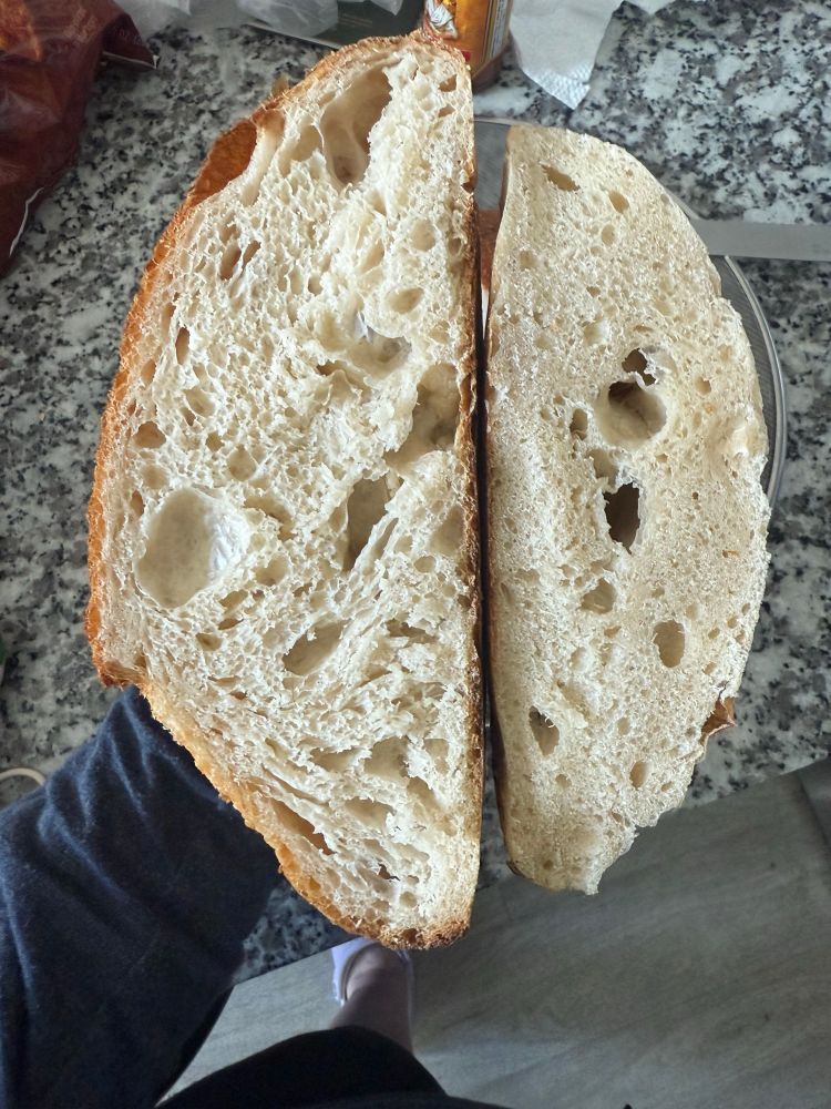 Newest loaf vs last loaf with awful crumb and gluten development 