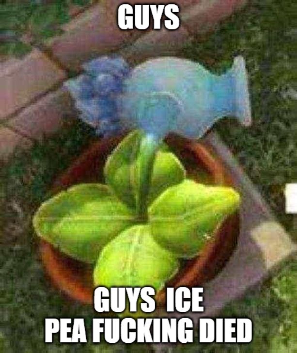 It's an image of the Ice Pea from Garden Warfare 1, fallen over, basically dead, with the punchline, or, text, saying: GUYS GUYS ICE PEA FUCKING DIED. In all capital letters.