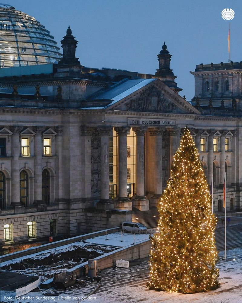 Vor dem Reichstagsgebäude steht eine hell erleuchtete Tanne.