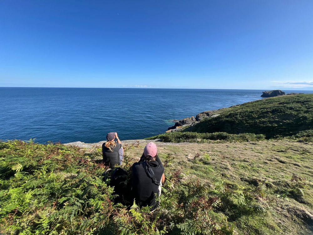 Ed and Eleanor watching the Laughing Gull flying over the sea