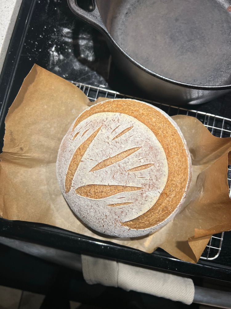 the top of a loaf of gluten free sourdough bread. the top of the loaf is floured so the golden crust where the scoring allowed the loaf to grow through clearly. it is scored to have a large crescent moon, and inside the moon is a small “burst” pattern of straight lines of varying lengths at splayed angles from each other. as the bread baked and rose and the lines split open, it gave an abstract flame look to it.