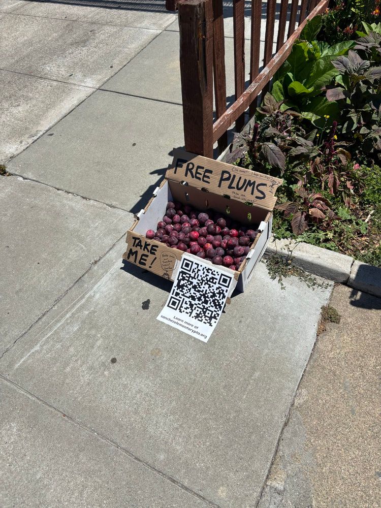 Cardboard box propped up on a curb along the sidewalk that says FREE PLUMS and TAKE ME! 