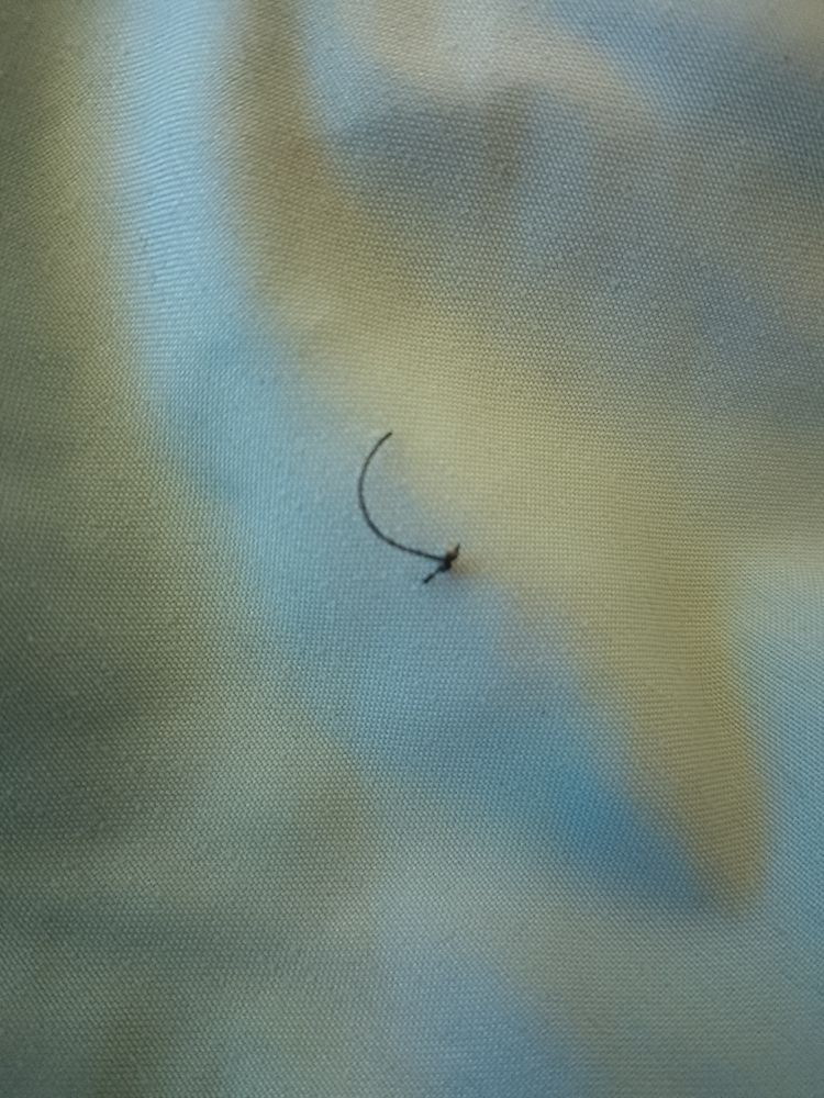 A small length of black thread on a light blue bedsheet.