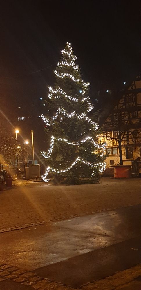 Mit Lichterkette großer Weihnachtsbaum vor dem Rathaus im Hintergrund Ein Fachwerkhaus. 