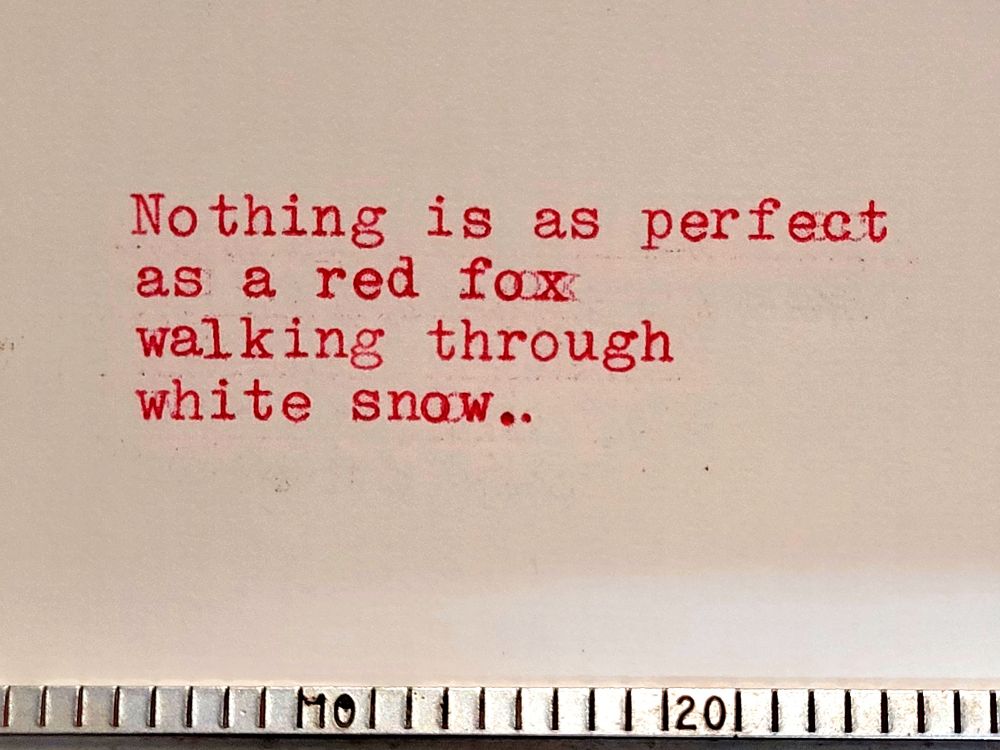 Nothing is as perfect as a red fox walking through white snow. Typed in red ink using a typewriter. 
