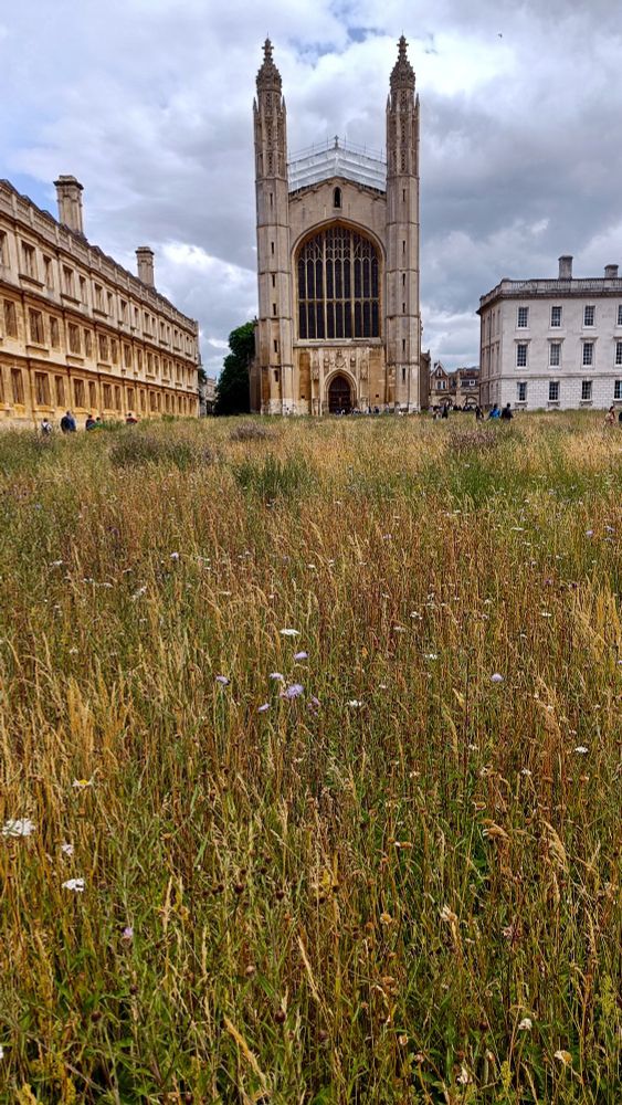 'meadow' King's College, Cambridge 