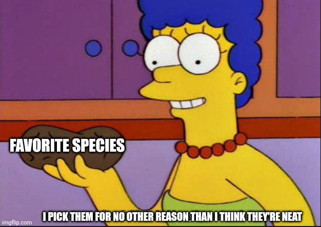 SPANISH
ESPECIE FAVORITA
LAS ELIJO SIN OTRA RAZÓN MÁS QUE PORQUE ME PARECEN GENIALES

FRENCH
ESPÈCE PRÉFÉRÉE
JE LES CHOISIS JUSTE PARCE QUE JE LES TROUVE SYMPAS

GERMAN
LIEBLINGSSPEZIES
WÄHLE SIE NUR WEIL ICH SIE EINFACH COOL FINDE

ITALIAN
SPECIE PREFERITA
LE SCELGO SOLO PERCHÉ LE TROVO FANTASTICHE

PORTUGUESE
ESPÉCIE FAVORITA
ESCOHO ELAS SÓ PORQUE ACHO MANEIRO

DUTCH
FAVORIETE SOORT
KIES ZE GEWOON OMDAT IK ZE LEUK VIND

SWEDISH
FAVORITART
VÄLJER DEM BARA FÖR ATT JAG TYCKER DE ÄR SCHYSTA

DANISH
YNDLINGSART
VÆLGER DEM KUN FORDI JEG SYNES DE ER SEJE

NORWEGIAN
FAVORITTART
VELGER DEM BARE FORDI JEG SYNES DE ER KULE

POLISH
ULUBIONY GATUNEK
WYBIERAM JE TYLKO DLATEGO ŻE UWAŻAM JE ZA FAJNE

RUSSIAN
ЛЮБИМЫЙ ВИД
ВЫБИРАЮ ИХ ПРОСТО ПОТОМУ ЧТО ОНИ КРУТЫЕ

JAPANESE
お気に入りの種族
ただ「カッコいい」という理由で選ぶ

CHINESE
最爱的种族
选择它们只因为我觉得很酷

KOREAN
가장 좋아하는 종족
그냥 멋져 보인다는 이유로 선택함

ARABIC
المخلوق المفضل
أختارهم فقط لأني أعتقد أنهم رائعون

TURKISH
FAVORİ TÜR
SADECE HAVALI OLDUKLARINI DÜŞÜNDÜĞÜM İÇİN SEÇİYORUM

HINDI
पसंदीदा प्रजाति
बस इसलिए चुनता हूँ क्योंकि मुझे लगता है कि ये अच्छे हैं

THAI
สายพันธุ์ที่ชอบ
เลือกแค่เพราะคิดว่ามันเจ๋ง

VIETNAMESE
LOÀI ƯA THÍCH
CHỈ CHỌN VÌ TÔI THẤY CHÚNG NGẦU

FINNISH
LEMPILAJI
VALITSEN NE VAIN KOSKA MIELEENI NE ON SIISTEJÄ

CZECH
OBLÍBENÝ DRUH
VYBÍRÁM JE JEN PROTOŽE MI PŘIPADAJÍ SKVĚLÉ

HUNGARIAN
KEDVENC FAJ
CSAK AZÉRT VÁLASZTOM MERT TETSzenek

ROMANIAN
SPECIA PREFERATĂ
LE ALEG DOAR PENTRU CĂ MI SE PAR TARE

GREEK
ΑΓΑΠΗΜΕΝΟ ΕΙΔΟΣ
ΤΑ ΕΠΙΛΕΓΩ ΜΟΝΟ ΓΙΑΤΙ ΜΟΥ ΑΡΕΣΟΥΝ

HEBREW
מין אהוב
בוחר אותם רק כי אני חושב שהם מגניבים

BULGARIAN
ЛЮБИМ ВИД
ИЗБИРАМ ГИ САМО ЗАЩОТО СМЯТАМ ЧЕ СА ГОТИНИ

SERBIAN
ОМИЉЕНА ВРСТА
БИРАМ ИХ САМО ЗАТО ШТО МИСЛИМ ДА СУ КУЛ

CROATIAN
OMILJENA VRSTA
BIRAM IH SAMO ZATO ŠTO MI SE ČINE SUPER

LITHUANIAN
MĖGSTAMIAUSIA RŪŠIS
RINKUOSI TIK TODĖL KAD MAN JOS PATINKA

LATVIAN
MĪLĀKĀ SUGA
IZVELKOS TĀS TIKAI TĀPĒC KA MAN TĀS ŠĶISTAS FORŠAS

ESTONIAN
LEMMIKLIIK
VALIN NEED LIHTSALT SEETÕTTU ET NEED ON LAHEDAD