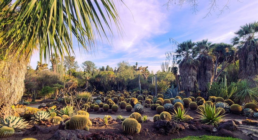 South coast botanic garden cactus garden