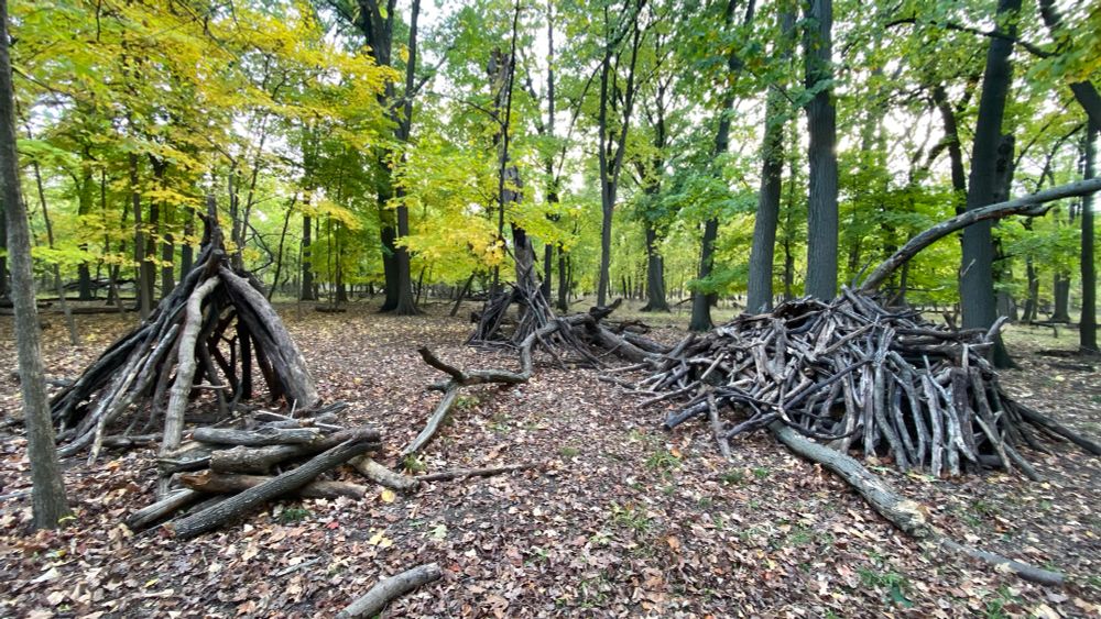 Three piles of logs & sticks that look like the beginning of small huts in the middle of the woods