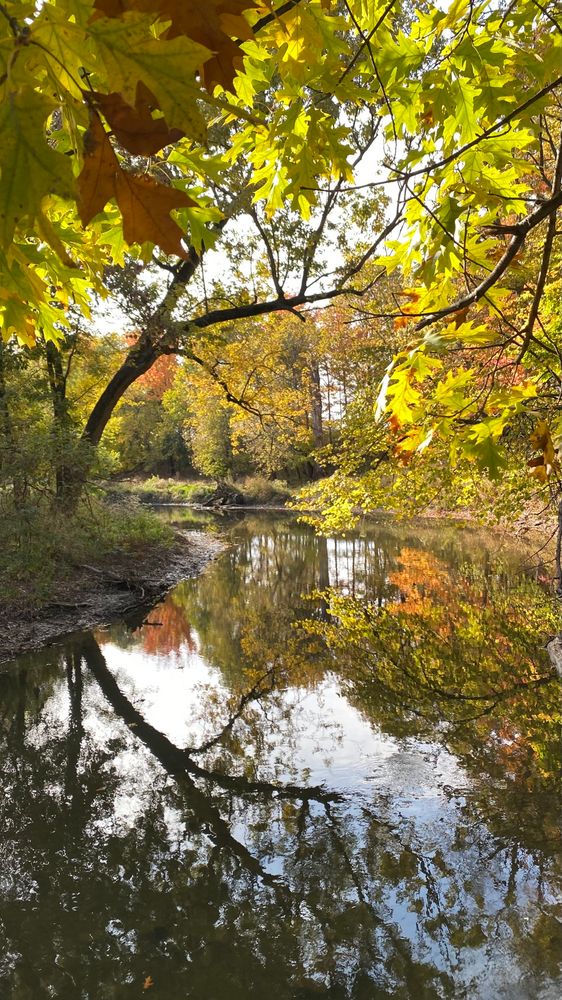 A still river reflecting autumn leaves and trees