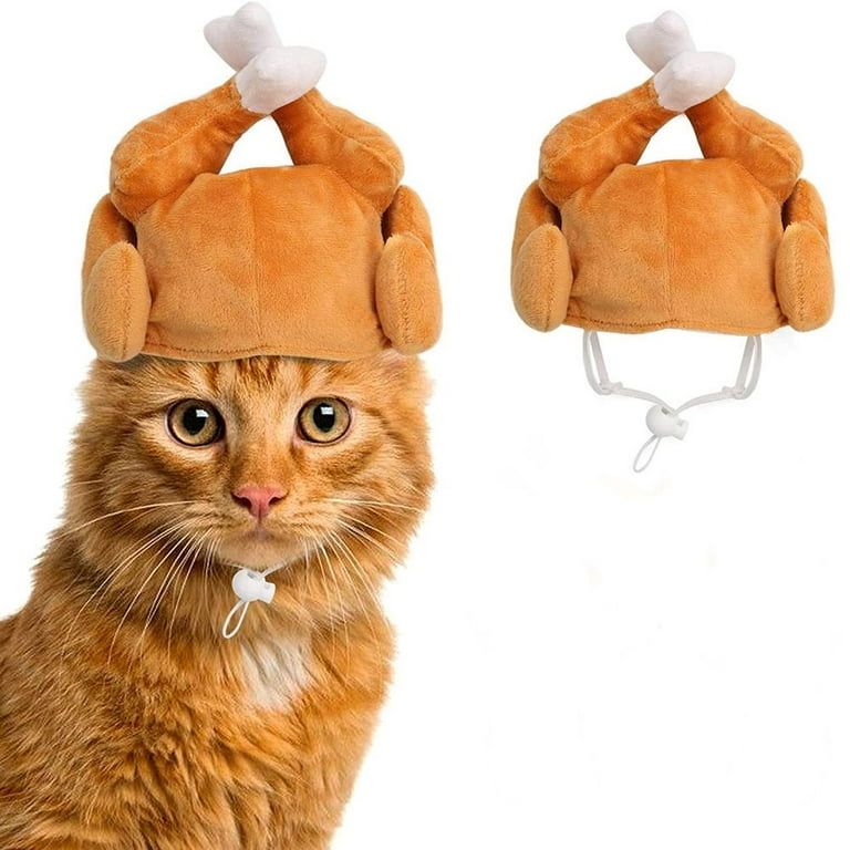Ginger cat wearing a turkey (bottom & wings) hat