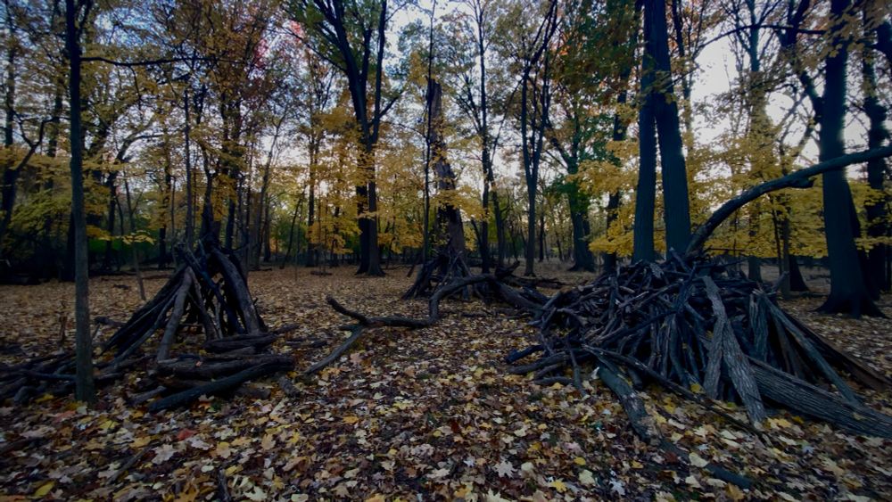 Large branches arranged in 3 makeshift teepee style shelters. Creepy