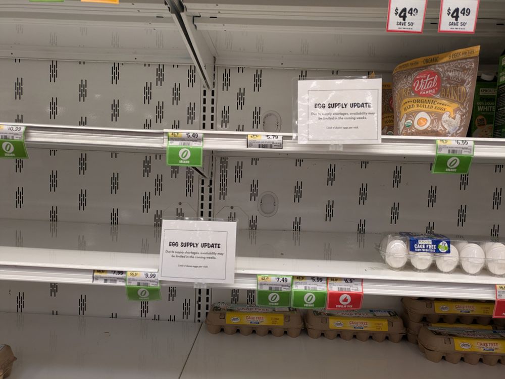Mostly empty egg shelves at the grocery store with a sign about why they are empty