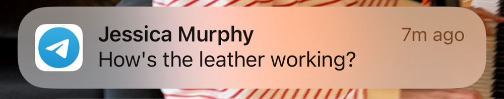 A spam message on telegram enquiring “how’s the leather working?”