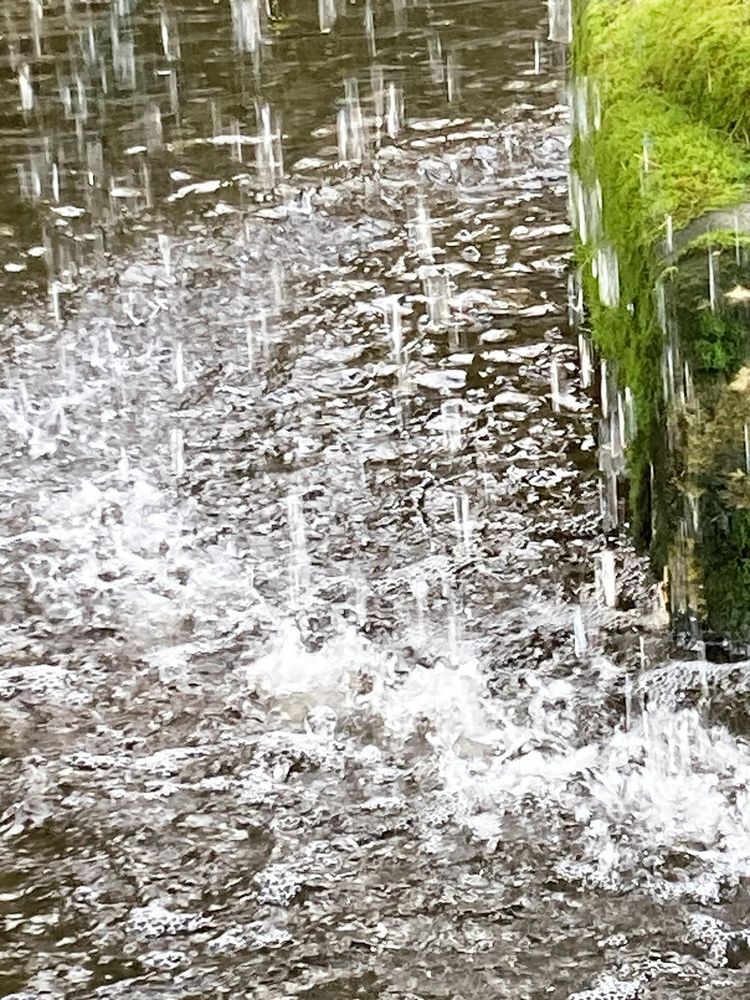 Close up from distance of water falling in fountain with brown water below and moss