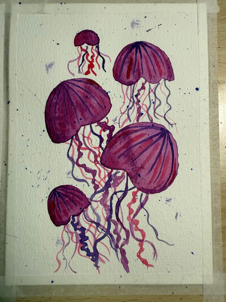 A grouping of purple-pink jelly fish 