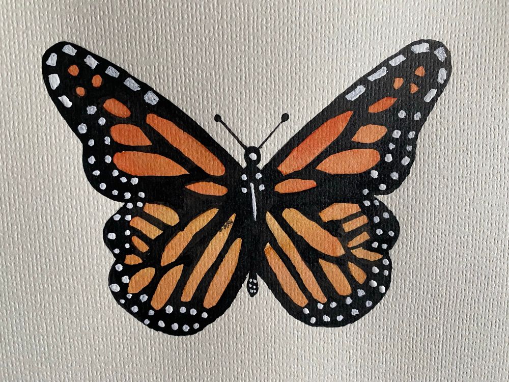 A watercolor of a monarch butterfly. Black body and wings with melding orange segments and white dots. 