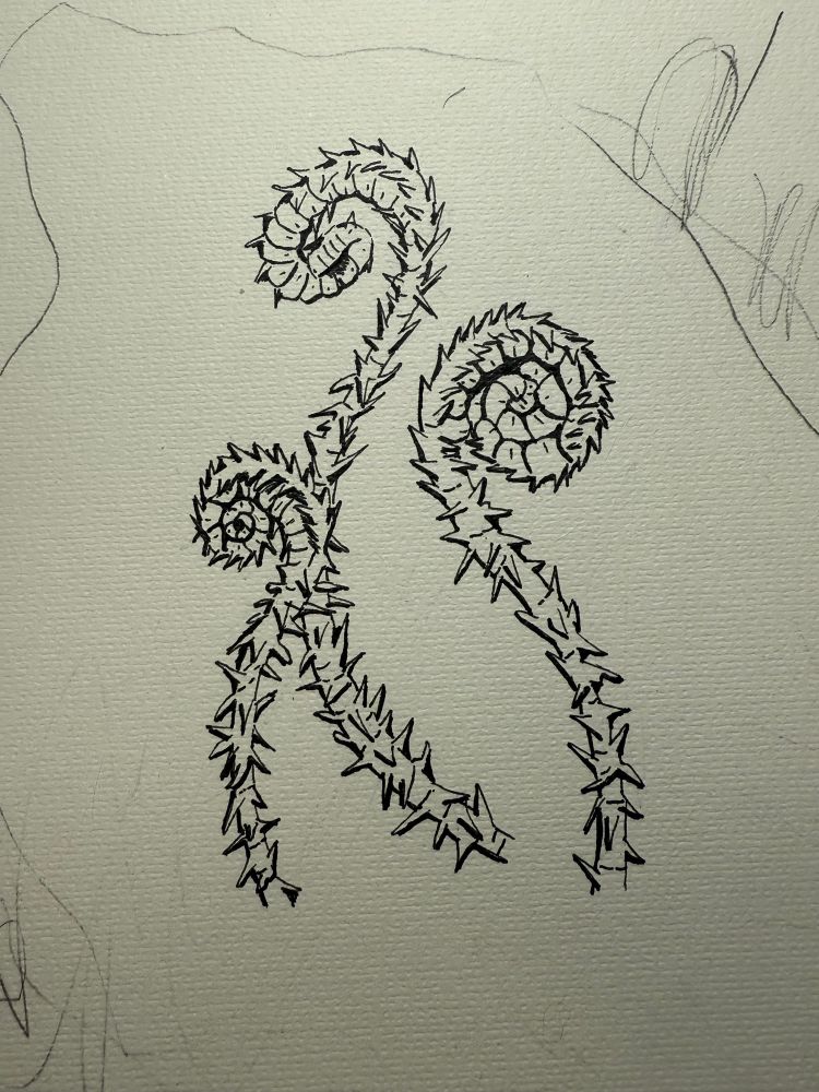 A trio of fiddlehead ferns in ink with kids pencil scribbles around it 