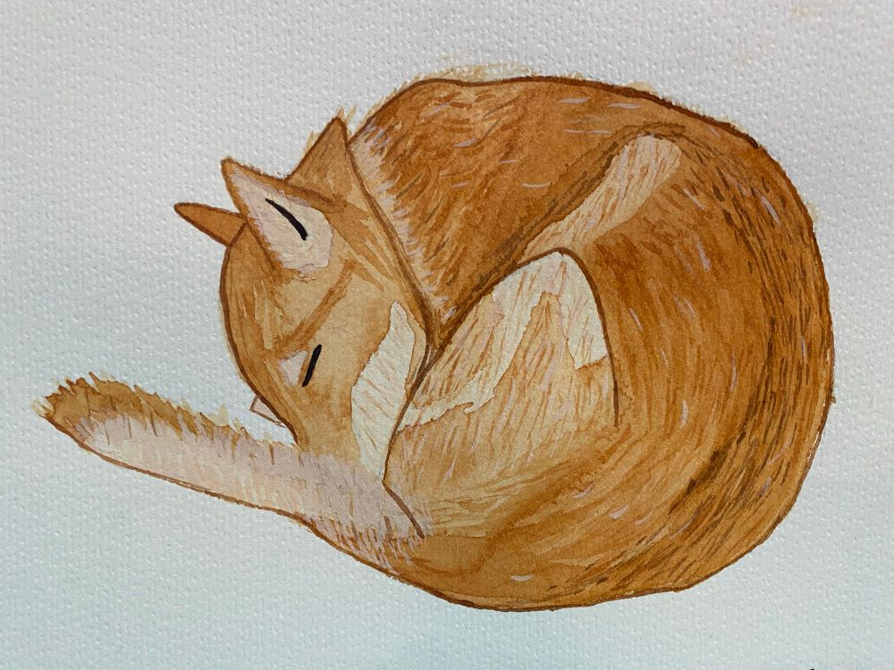 A watercolor of a brown and cream dog curled in a ball with her nose covered by her tail. 