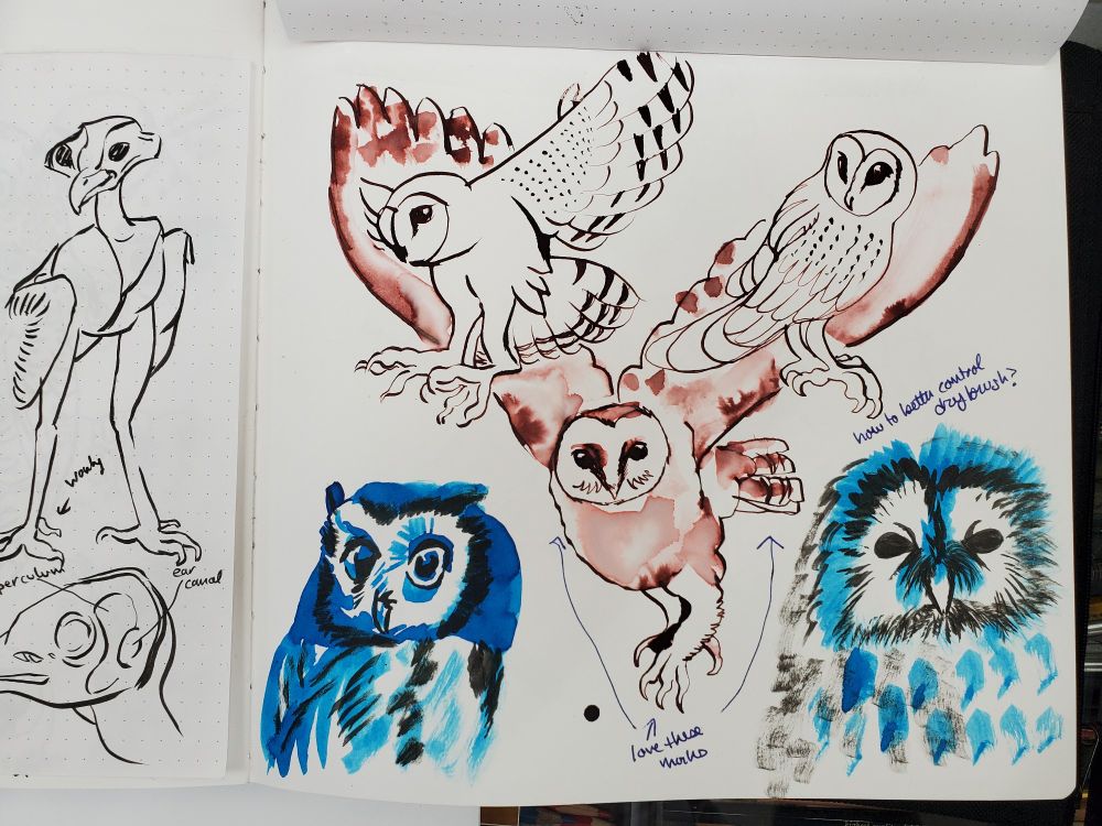 A sketchbook page with red and blue and black ink drawing of owls made with brush and crow nib pen
