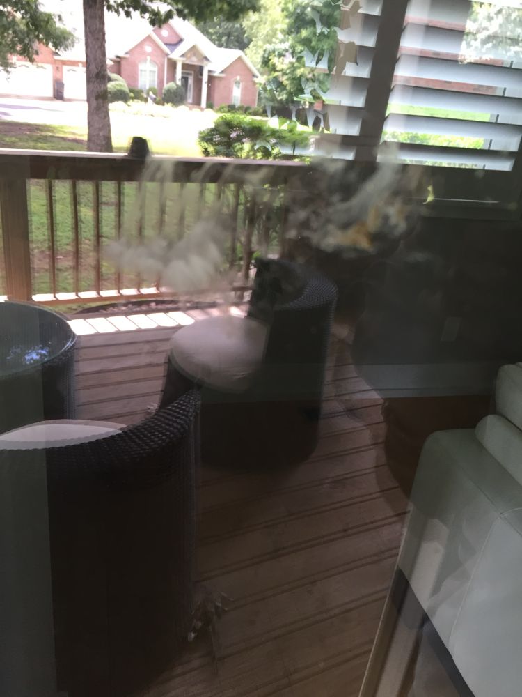 Bodily fluids and a lone feather on the glass left ass evidence of bird kamikaze’ing into said porch glass door. 