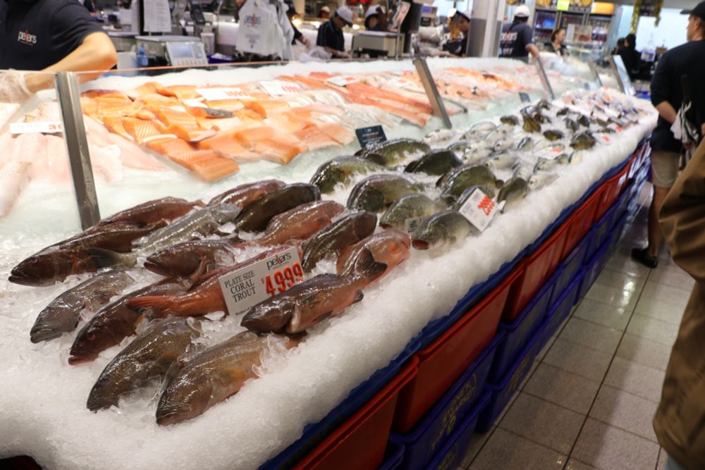 Sydney Fish Market