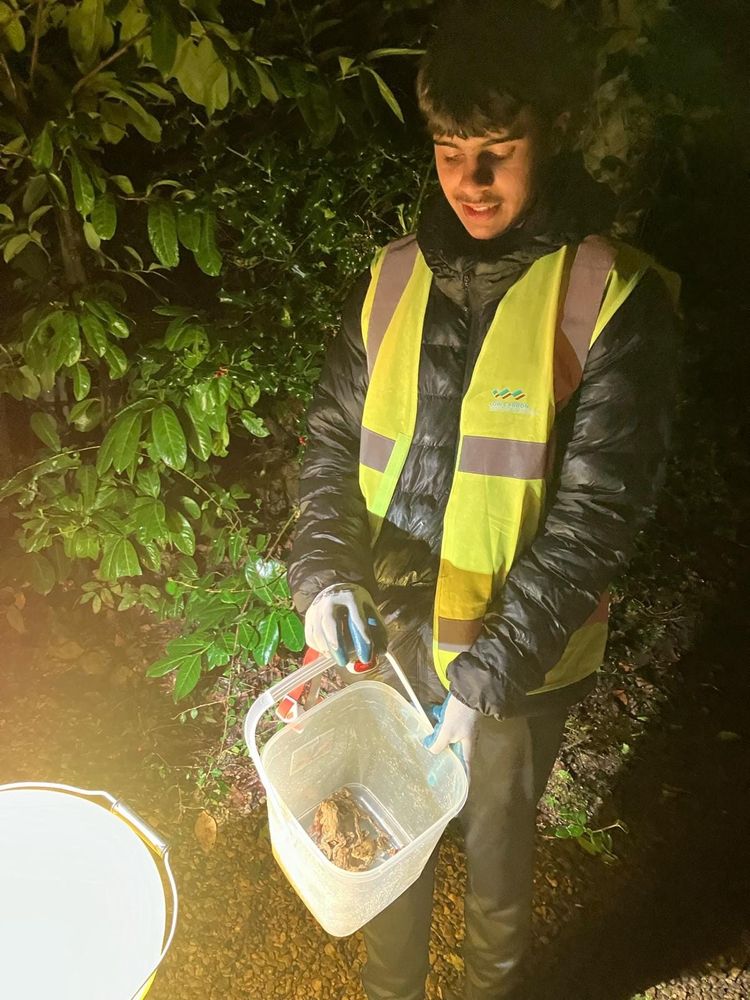 Frog patroller with a bucket of frogs (via Risinghurst Community Association Facebook)