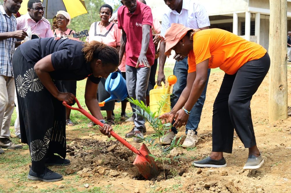 Tree planting in Musanda. 