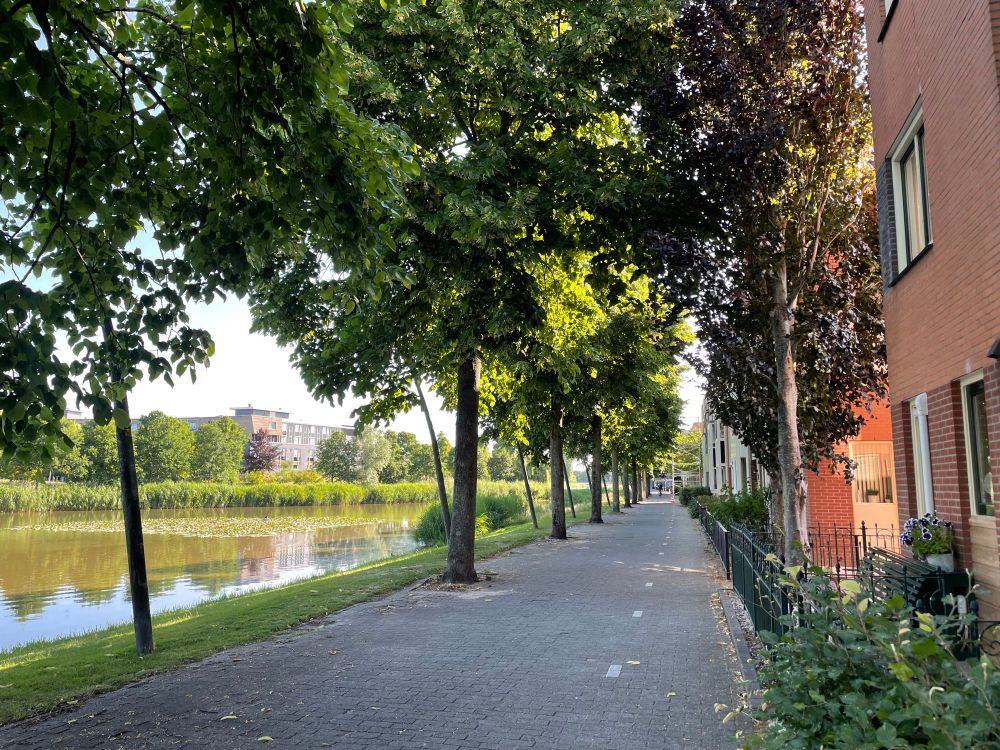 Cycle and pedestrian route along water edge 