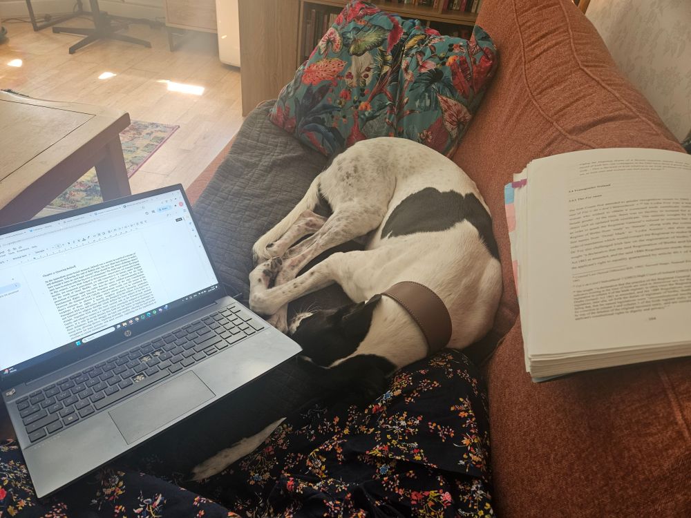 Photo of Sandra's sofa. They are sitting at one end. On their knee is a laptop. On the back of the sofa is their open thesis. Taking up 75% of the space is a large black and white greyhound. 