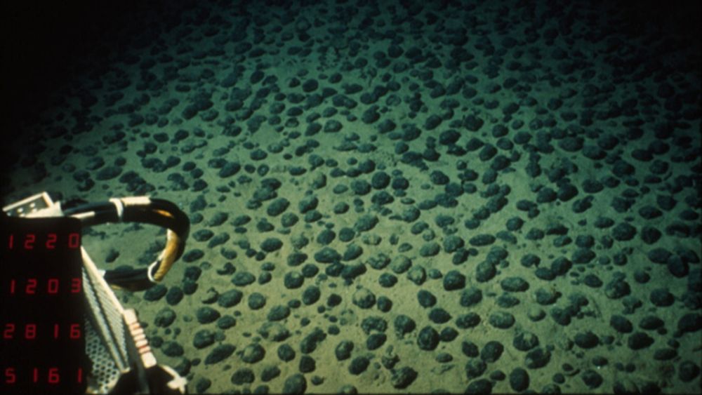 The Unexpected Role of Magnetic Microbes in Deep-Sea Mining - Eos