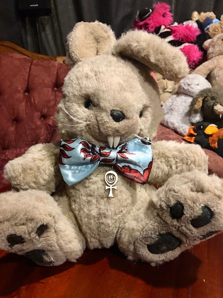 Photo of cute fluffy bunny plushy wearing a dashing bowtie and an ankh necklace. He has fangs, and is over 35 years old and still looking good