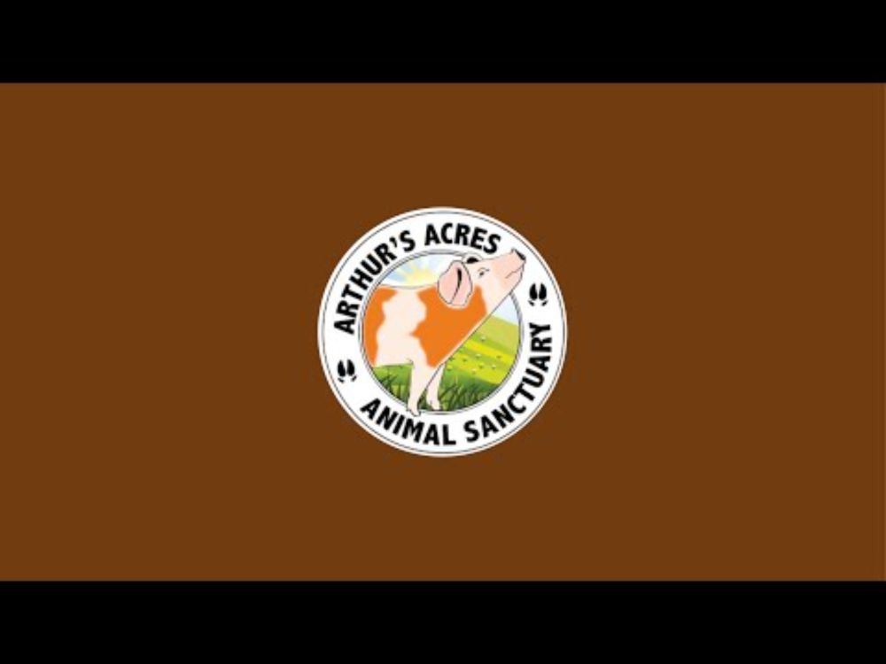 Arthurs Acres Animal Sanctuary is live!