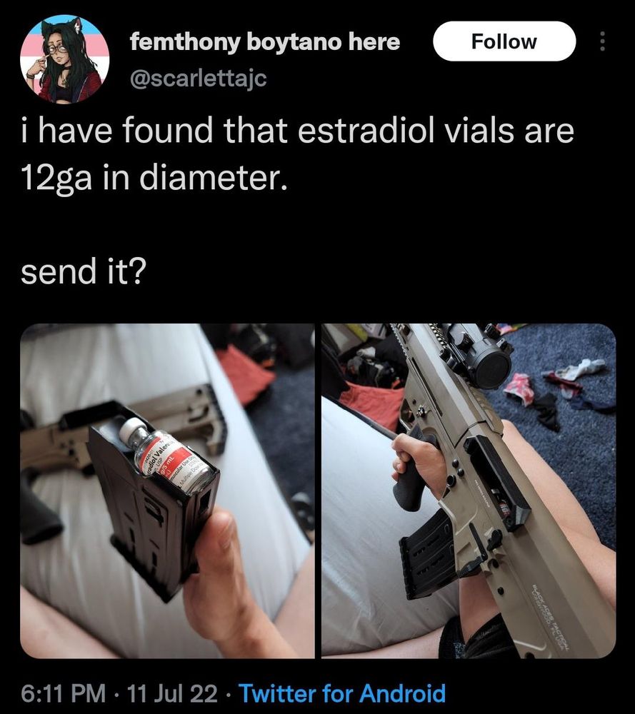 Twitter-post från @scarlettajc:
"I have found that estradil vials are 12ga in diameter.

send it?"

Nedanför två bilder, en på en flaska estradiol valerate i ett magasin för hagelpatroner, andra bilden på samma magasin och flaska laddat i ett gevär.