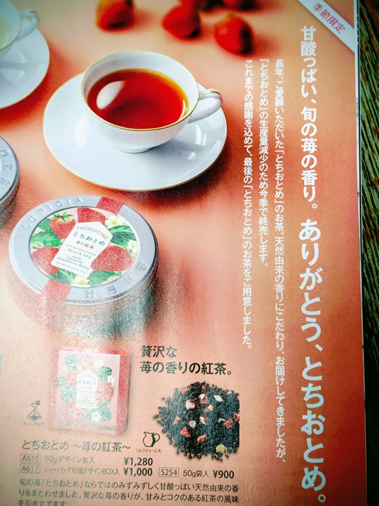 ルピシア会報1月号のとちあいかの特集ページ
「甘酸っぱい、旬の苺の香り、ありがとう、とちおとめ。」と印刷されている