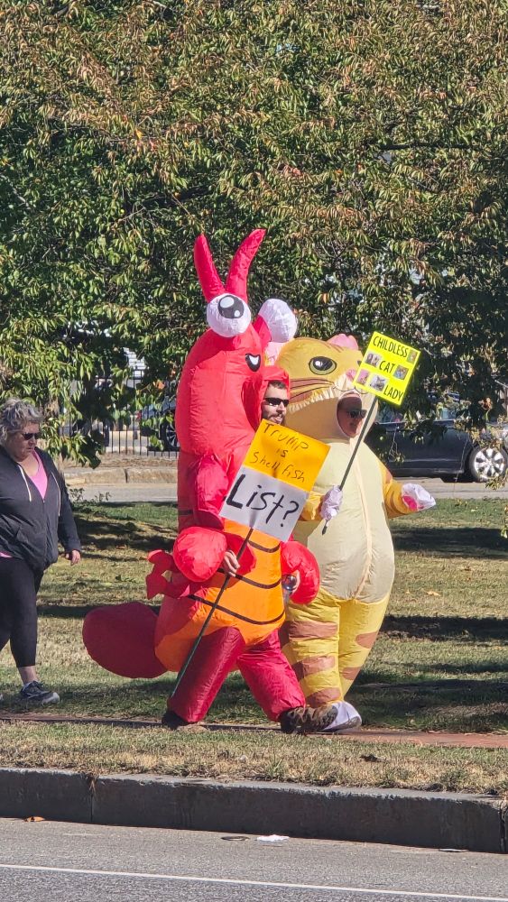 One man is dressed in an inflatable lobster costume, holding a sign that says "Trump is shellfish. List?" Next to him is a woman an inflatable cat costume. She holds a sign that says, "Childless cat lady"