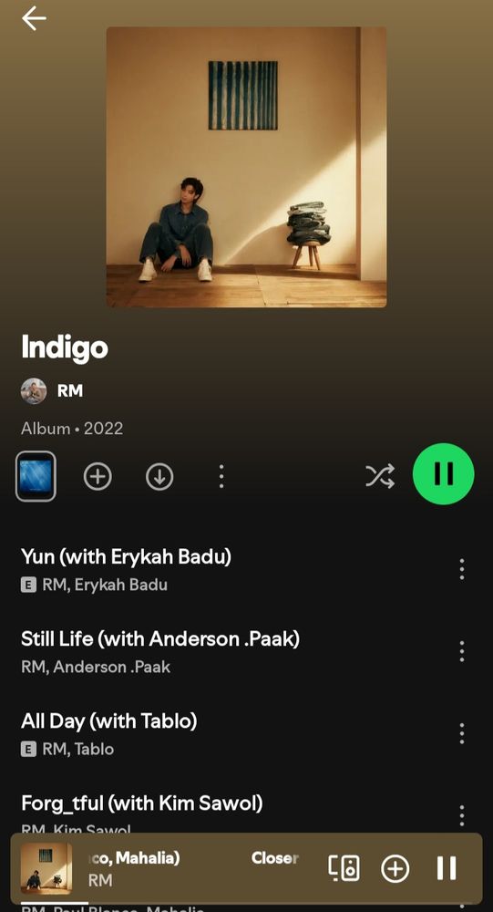 Spotify playlist showing the songs from Indigo, RM's 1st official album.