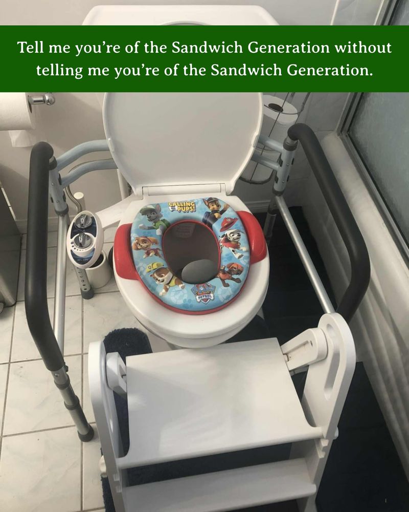 In a bathroom: A toilet with a toddler's potty cushion and portable steps, plus handrails. White text on green background says Tell me you're of the Sandwich Generation without telling me you're of the Sandwich Generation.