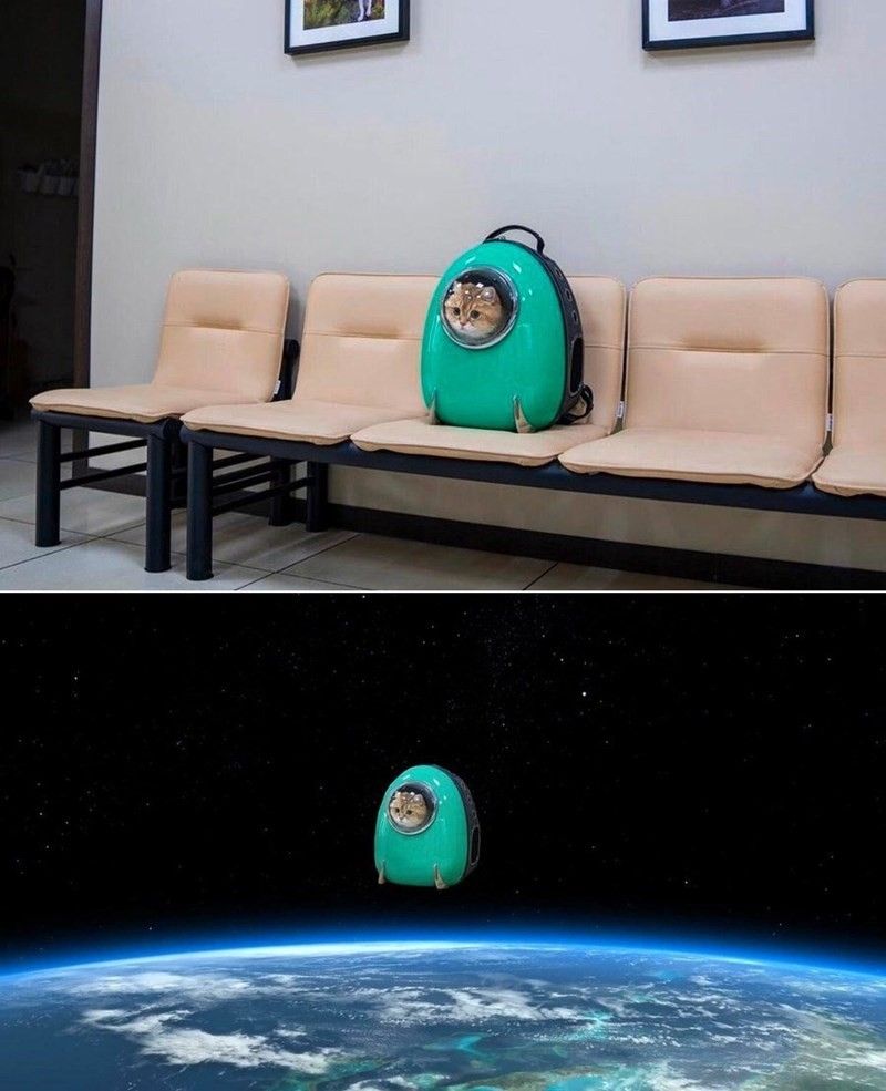 A cat in a backpack with a see through acrylic dome is set on a set of chairs in what appears to be a veterinary clinic. The same cat in the same backpack is superimposed on an image in outerspace. The backpack now appears as if it were a space capsule