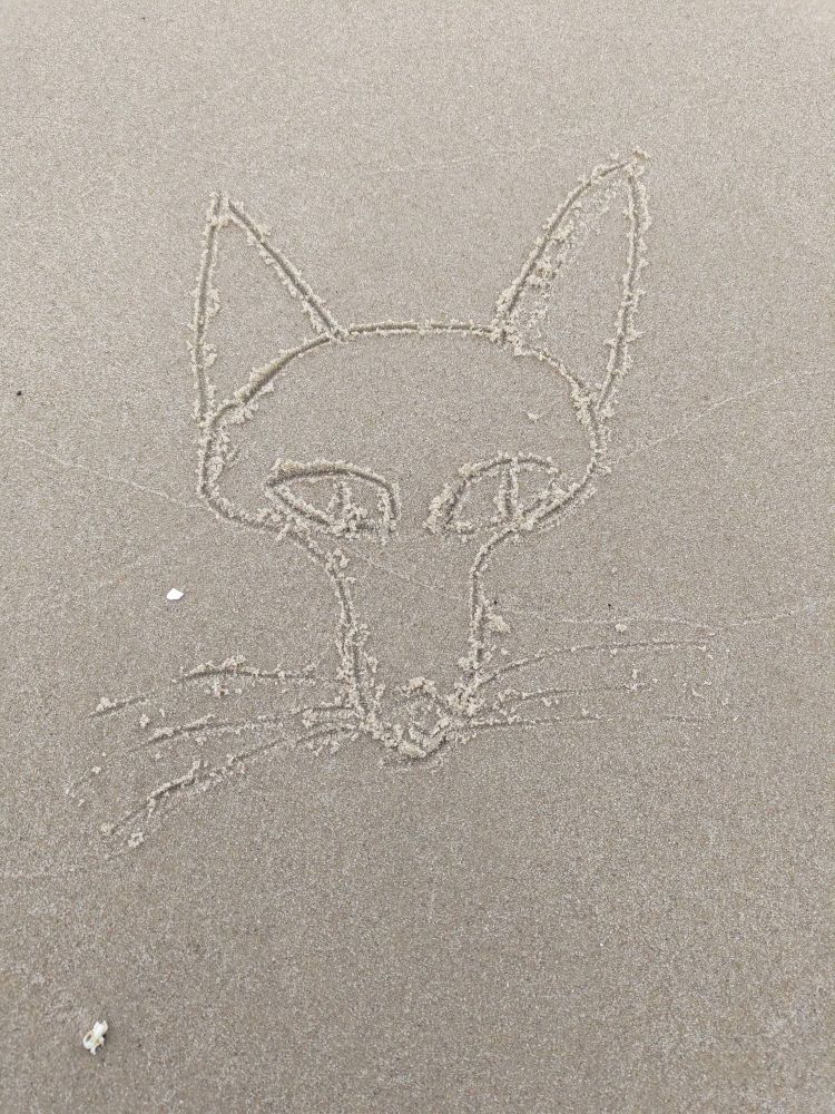Sketch of a fox-like head on the sand, from the front 