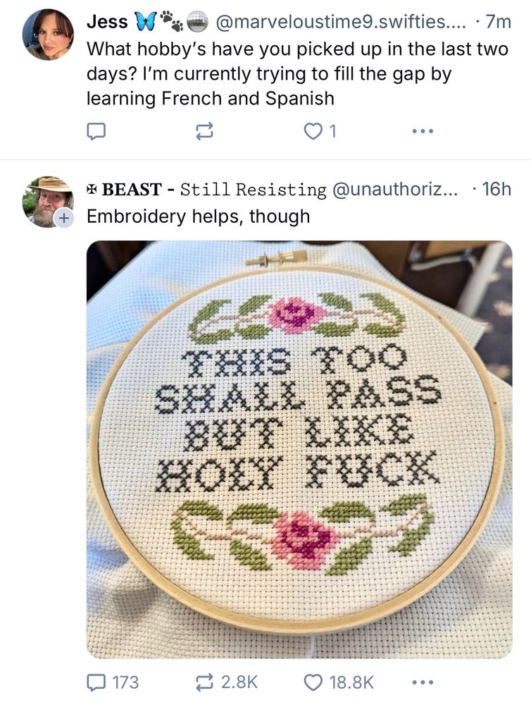 Screen shot of my skyline with Jess asking what hobbies people have picked up, and immediately under it there is a photo of an embroidery crafting project that says “this too shall pass but like holy fuck”