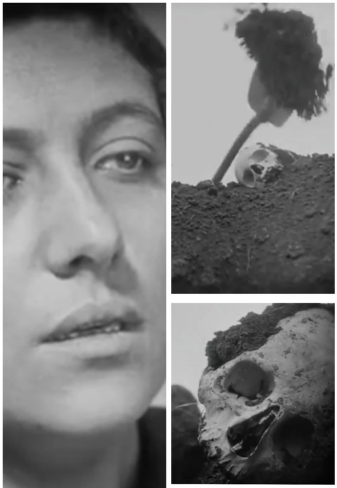 Three cropped screenshots from The Passion of Joan of Arc by Carl Theodor Dreyer. We see Renée Jeanne Falconetti just looking. Then taken from the same scene two images arising from the digging of a grave. In the first we see a skull on a bank of earth whilst a spade tosses more earth over. In the second a close up of the skull with earth on it.