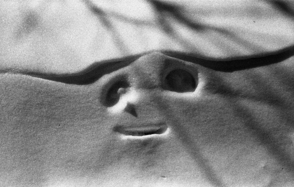 grainy black & white image of a snowdrift, with markings from ski poles that resemble a smiling face