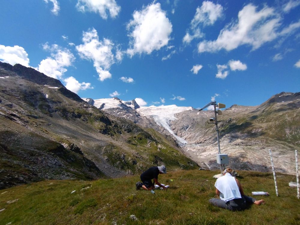 Ecologists taking plant and animal samples in alpine snowbeds. In the background glacier-covered high mountains.