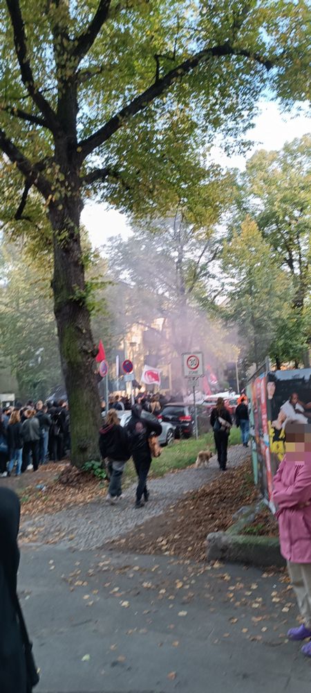 Etwas Pyro würde dann auch noch zum Ende hin der Demo gezündet!