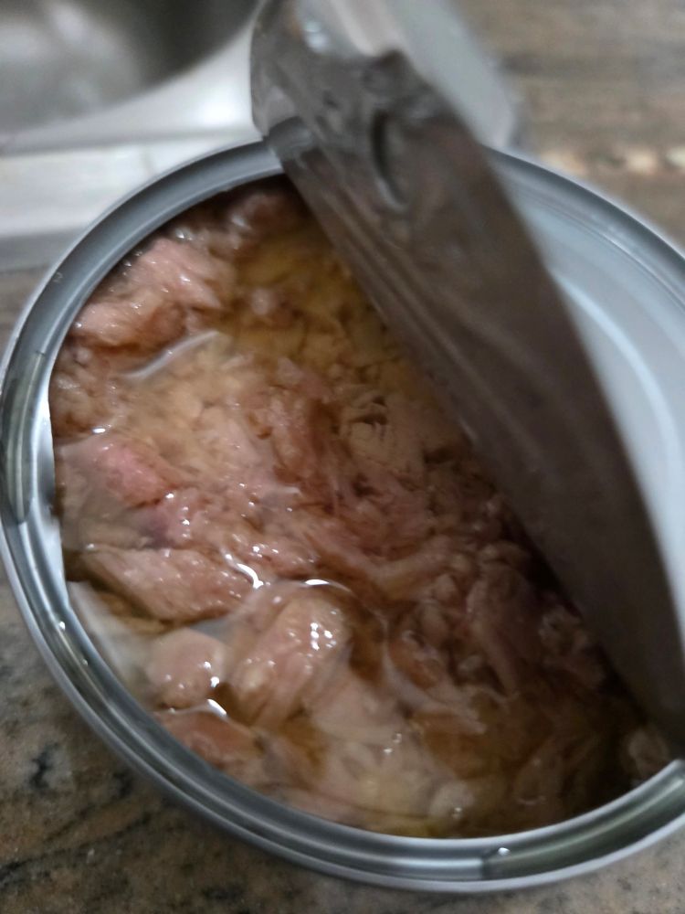 Open can of tuna
